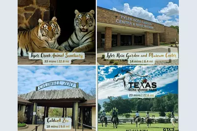 10801 Harvest Wood Dr, Tyler, TX 75703 - Photo 43