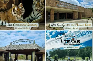 10801 Harvest Wood Dr, Tyler, TX 75703 - Photo 43