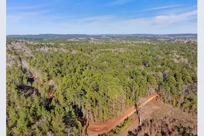 Tbd County Road 2126, Rusk, TX 75785 - Photo 17