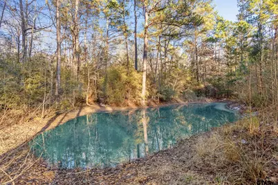Tbd County Road 2126, Rusk, TX 75785 - Photo 13
