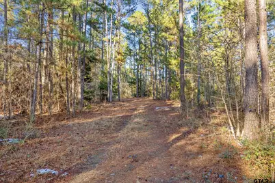 Tbd County Road 2126, Rusk, TX 75785 - Photo 11