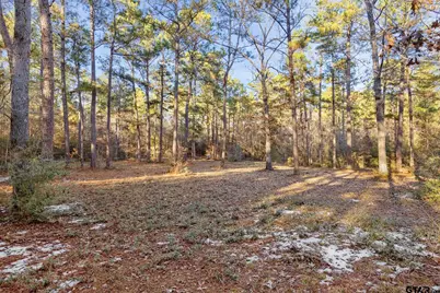Tbd County Road 2126, Rusk, TX 75785 - Photo 5