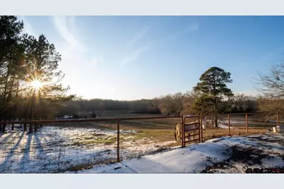 900 Primrose Rd, Gilmer, TX 75644 - Photo 27