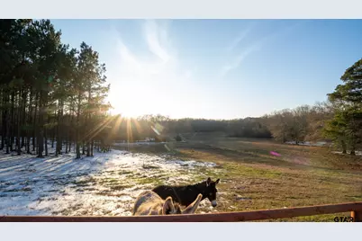 900 Primrose Rd, Gilmer, TX 75644 - Photo 37