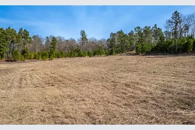 5210 S US Hwy 79, Palestine, TX 75803 - Photo 9