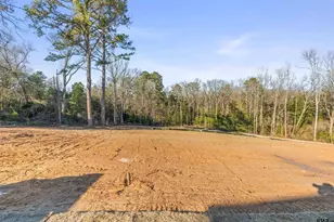 17180 Woodcrest Cir, Lindale, TX 75771 - Photo 39