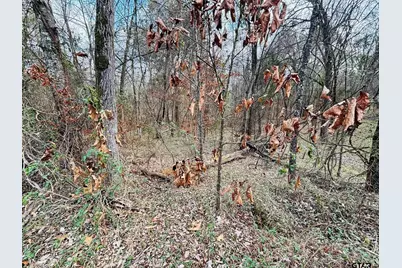 0 Fm 49, Mineola, TX 75773 - Photo 9