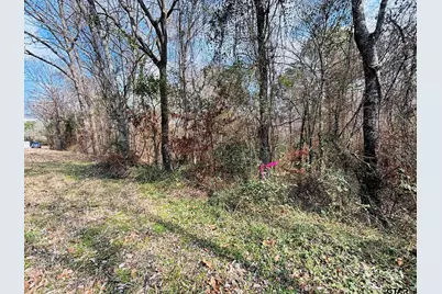 0 Fm 49, Mineola, TX 75773 - Photo 7