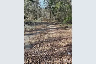 0 Fm 49, Mineola, TX 75773 - Photo 5