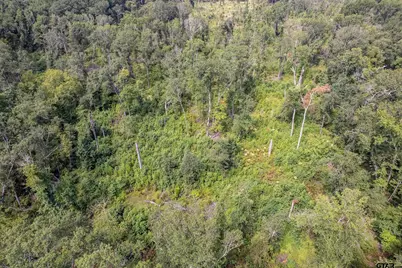 Tbd Cr 2115, Troup, TX 75789 - Photo 35