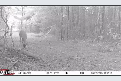 17584 Fm 1252, Winona, TX 75792 - Photo 11