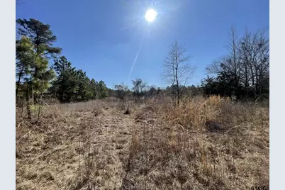 17584 Fm 1252, Winona, TX 75792 - Photo 9