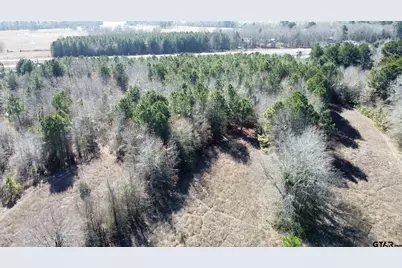 17584 Fm 1252, Winona, TX 75792 - Photo 19