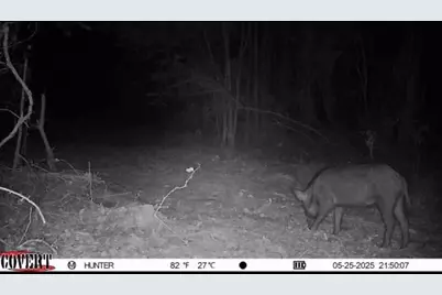 17584 Fm 1252, Winona, TX 75792 - Photo 15