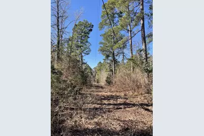 17584 Fm 1252, Winona, TX 75792 - Photo 5