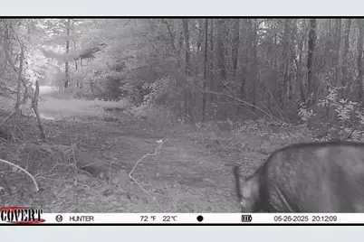 17584 Fm 1252, Winona, TX 75792 - Photo 17