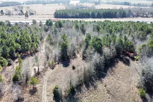 17584 Fm 1252, Winona, TX 75792 - Photo 1