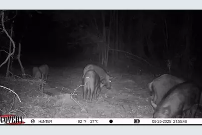 17584 Fm 1252, Winona, TX 75792 - Photo 13