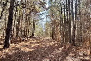 17584 Fm 1252, Winona, TX 75792 - Photo 1