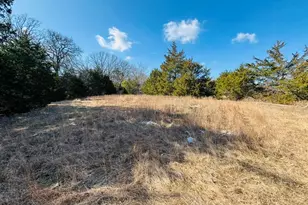 230 Rs County Road 4252, Point, TX 75472 - Photo 1