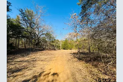 230 Rs County Road 4252, Point, TX 75472 - Photo 3