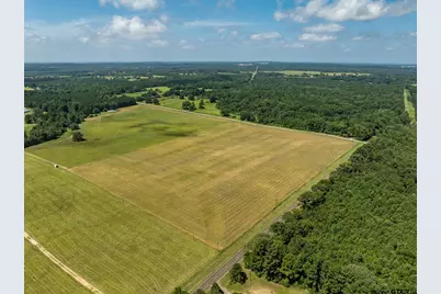 1420 Acr 379, Palestine, TX 75801 - Photo 5