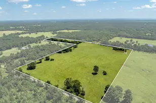 592 Acr 379, Palestine, TX 75801 - Photo 1