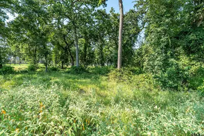 Lot 2 Deer Lake Lane, Bullard, TX 75757 - Photo 15