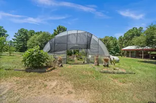 10377 Mountain View Rd, Whitehouse, TX 75791 - Photo 47