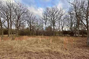 198 Co Rd 4810, Ben Wheeler, TX 75754 - Photo 1