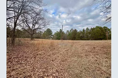 198 Co Rd 4810, Ben Wheeler, TX 75754 - Photo 3