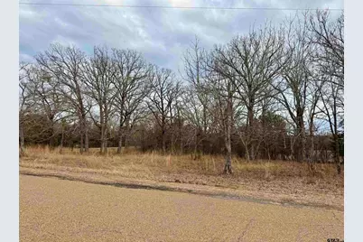 198 Co Rd 4810, Ben Wheeler, TX 75754 - Photo 9