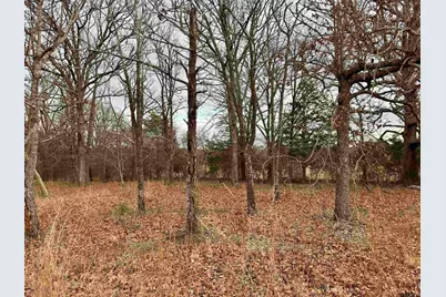 198 Co Rd 4810, Ben Wheeler, TX 75754 - Photo 5