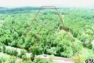 0 County Road 3419, Hawkins, TX 75765 - Photo 1