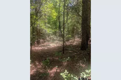 0 Yates St, Hawkins, TX 75765 - Photo 3