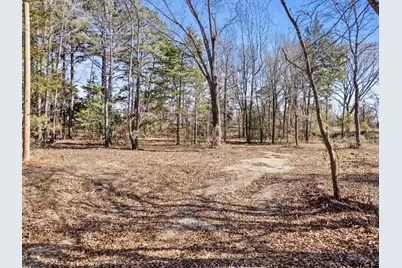 1800 County Road 386 (Lot 3), Tyler, TX 75708 - Photo 3