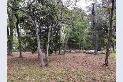 Lot 5 Lakeview Dr., Bullard, TX 75757 - Photo 5