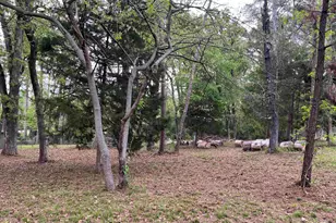 Lot 5 Lakeview Dr, Bullard, TX 75757 - Photo 5