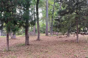 Lot 5 Lakeview Dr, Bullard, TX 75757 - Photo 1