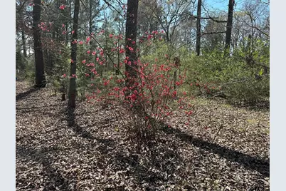 143 County Road 3460, Hawkins, TX 75765 - Photo 25
