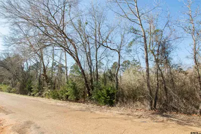 Tbd Vz Cr 4810, Ben Wheeler, TX 75754 - Photo 3