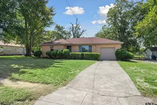 252 E Main, Van, TX 75790 - Photo 3