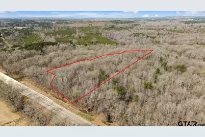 Tbd State Highway 135, Troup, TX 75789 - Photo 1