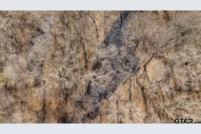 Tbd State Highway 135, Troup, TX 75789 - Photo 35