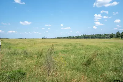 269 Vz County Road 4305, Ben Wheeler, TX 75754 - Photo 7