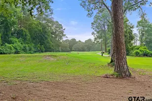 435 Wildwood Trail, Holly Lake Ranch, TX 75765 - Photo 41