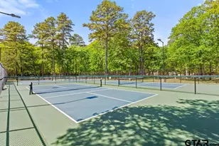 435 Wildwood Trail, Holly Lake Ranch, TX 75765 - Photo 43