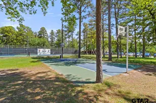 435 Wildwood Trail, Holly Lake Ranch, TX 75765 - Photo 45