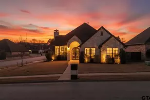 3157 Salado Creek Dr, Tyler, TX 75703 - Photo 1