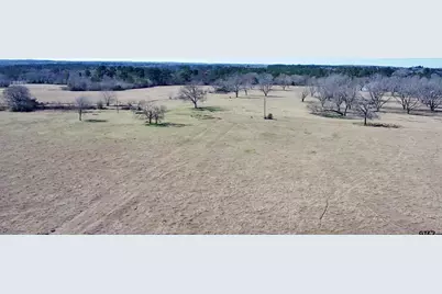 0 Hwy. 155 & Cr 435, Frankston, TX 75763 - Photo 35